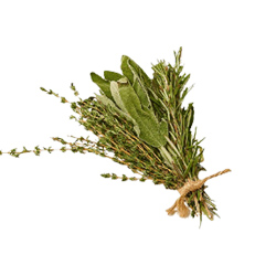 Herbs